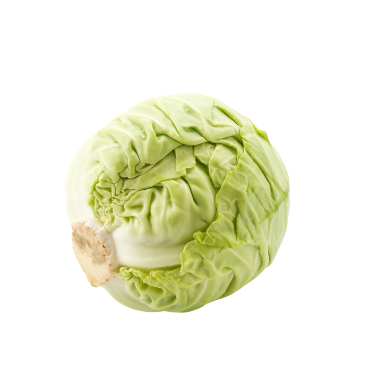 Cabbage கோஸ்