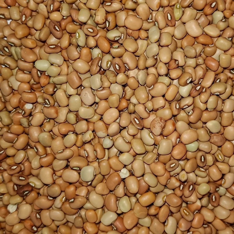 Cowpeas (தட்ட பயறு)