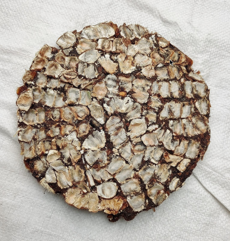 Tamarind-புளி