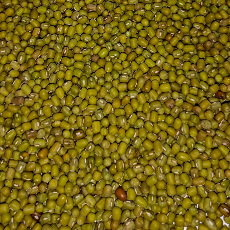 Green gram பச்சை பயறு