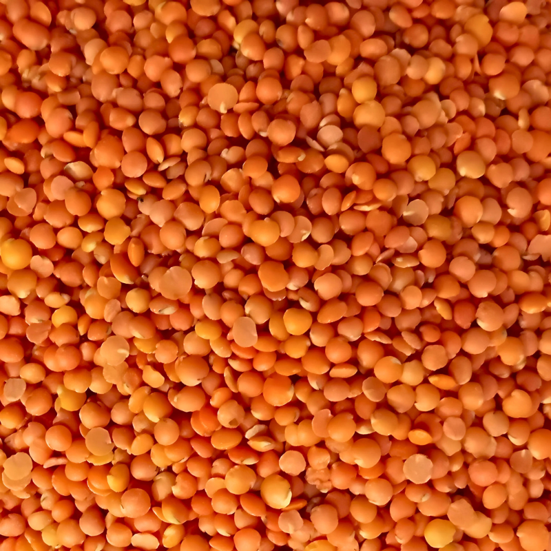 Masoor dhal மைசூர் பருப்பு