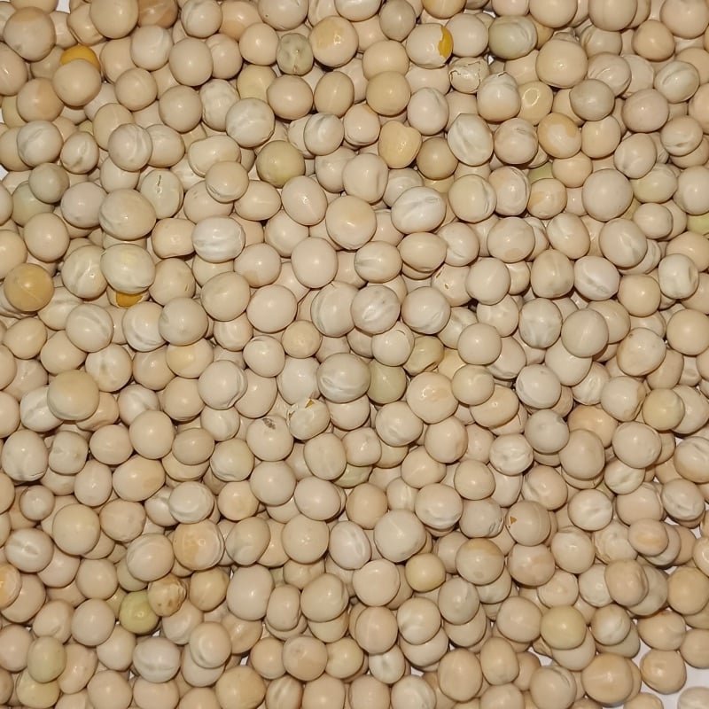 White Peas (வெள்ளை பட்டாணி)