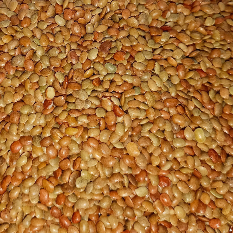 Horse Gram கொள்ளு