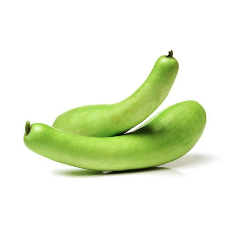 Bottle Gourd சுரைக்காய்