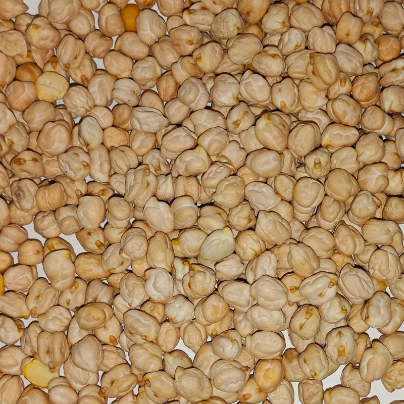 White Channa (வெல்ல சுண்டல்)