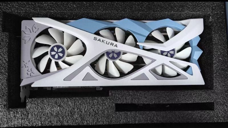Yeston RX 9060 XT Sakura OC 16 GB