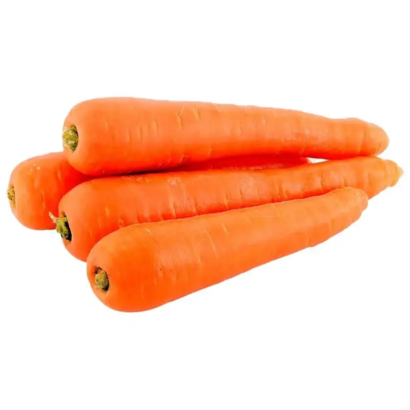 Carrot