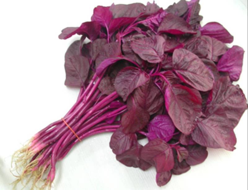 Red spinach