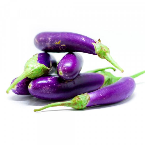 Brinjal Ujala