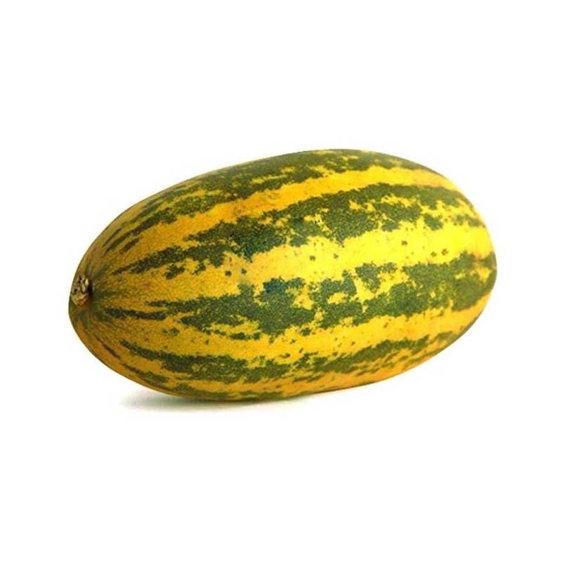 Malabar Cucumber