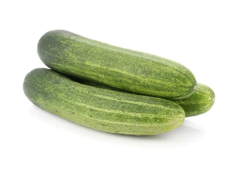 Cucumber