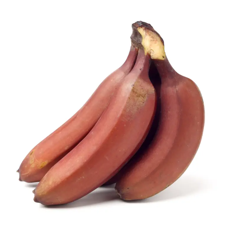 Banana Red