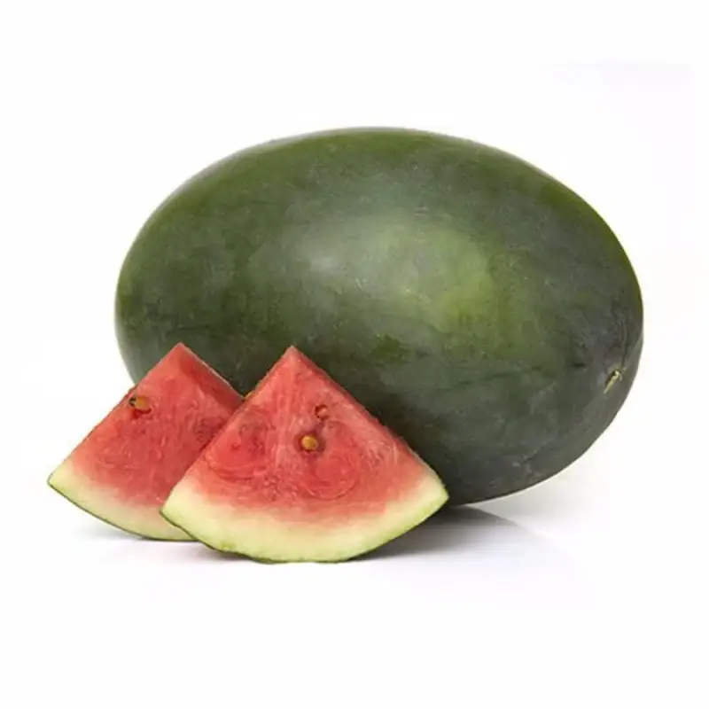 Water Melon