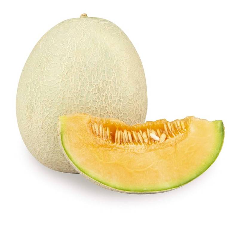 Musk Melon
