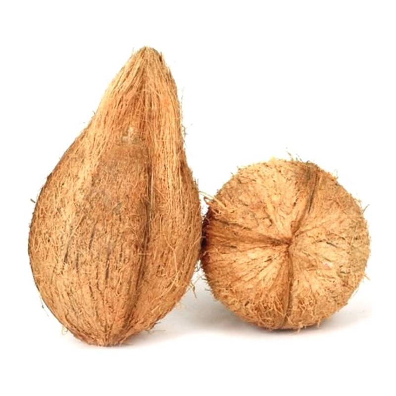 Coconut