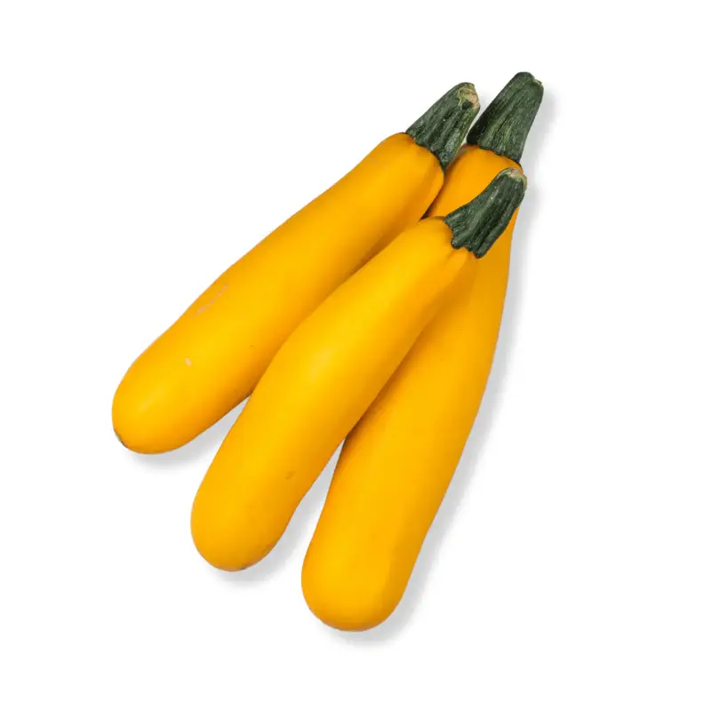 Zucchini Yellow