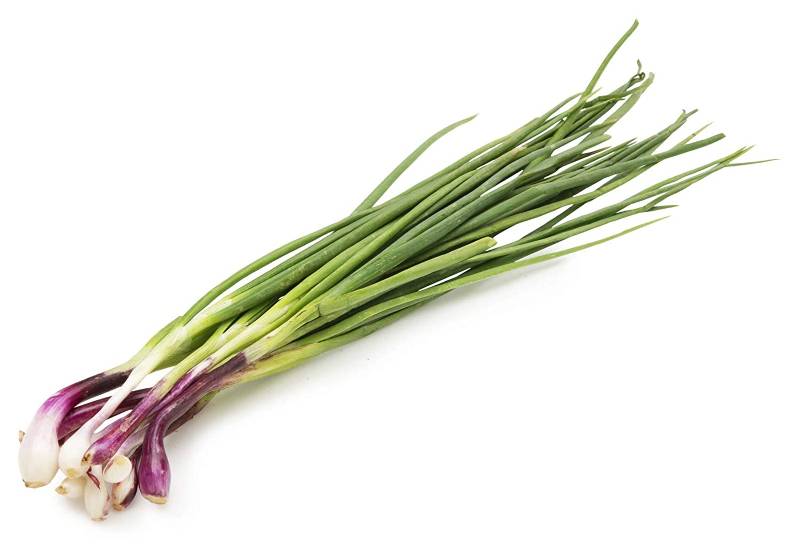 Spring Onion