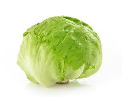 Ice burg Lettuce