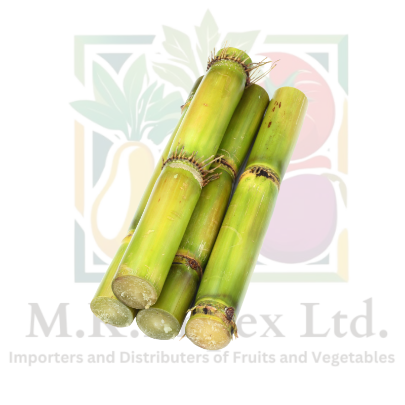 Sugarcane Green