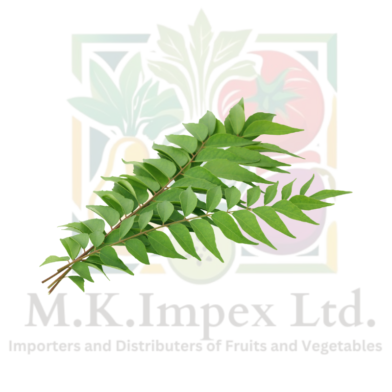 Curry Leaves India 20