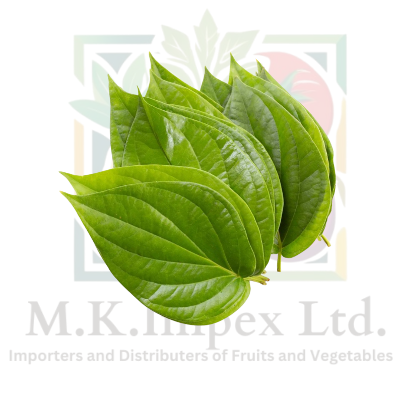 Pan leaves ( 500 Gms )