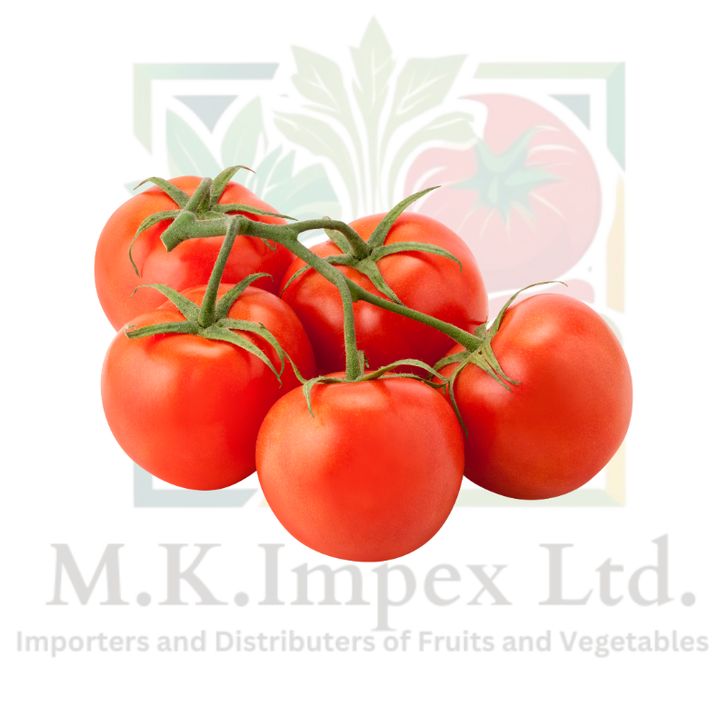 Vine Tomato 5 KG