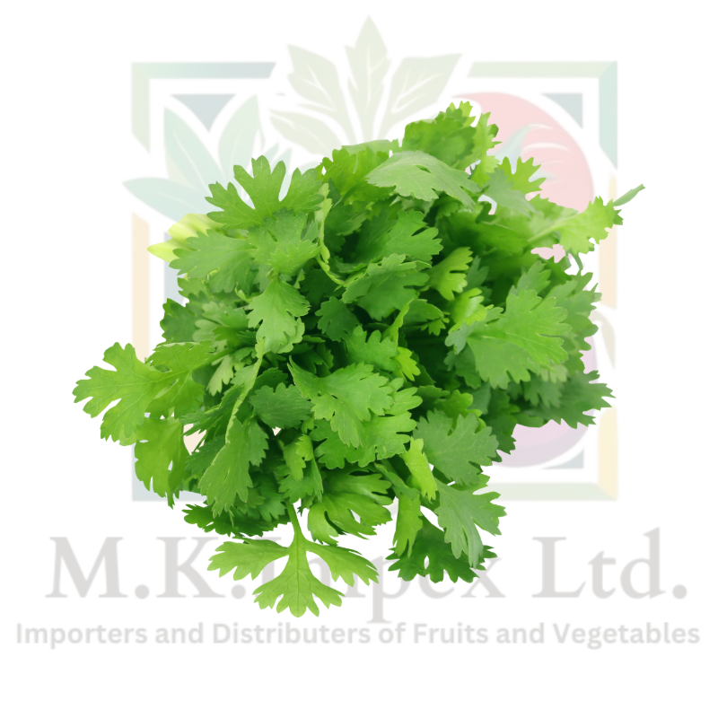 Coriander Spanish