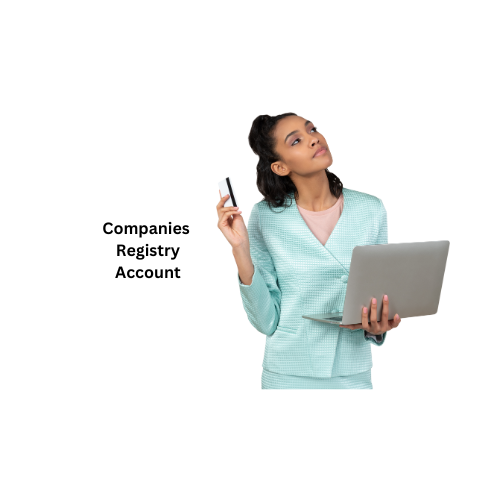 Companies Registry Account