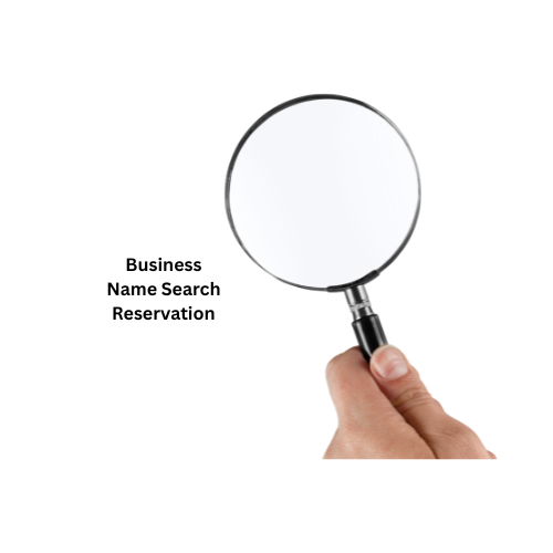 Name Search/Reservation for Business