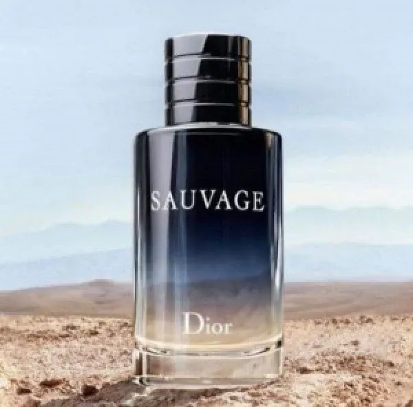Sauvage Dior EAU DE Perfume 100ML