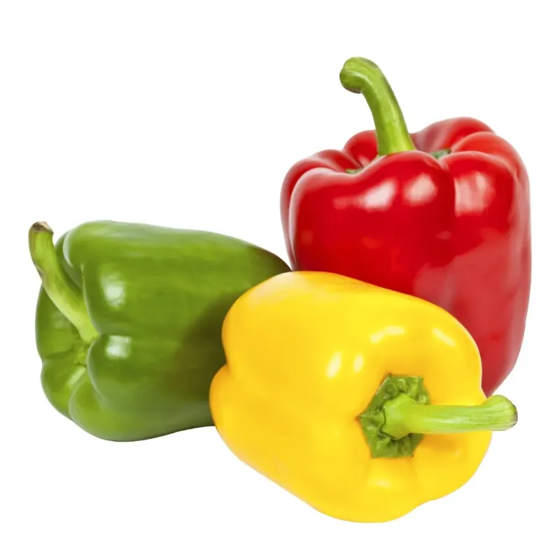 Green,Red & yellow capsicum 3 pieces
