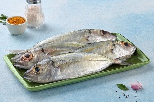 Mackerel (Aiyla )