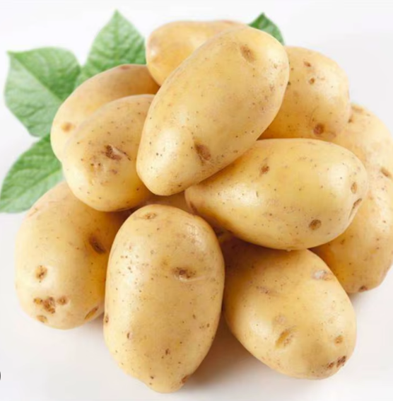 Potato