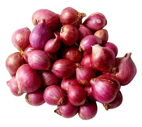 Sambhar onion