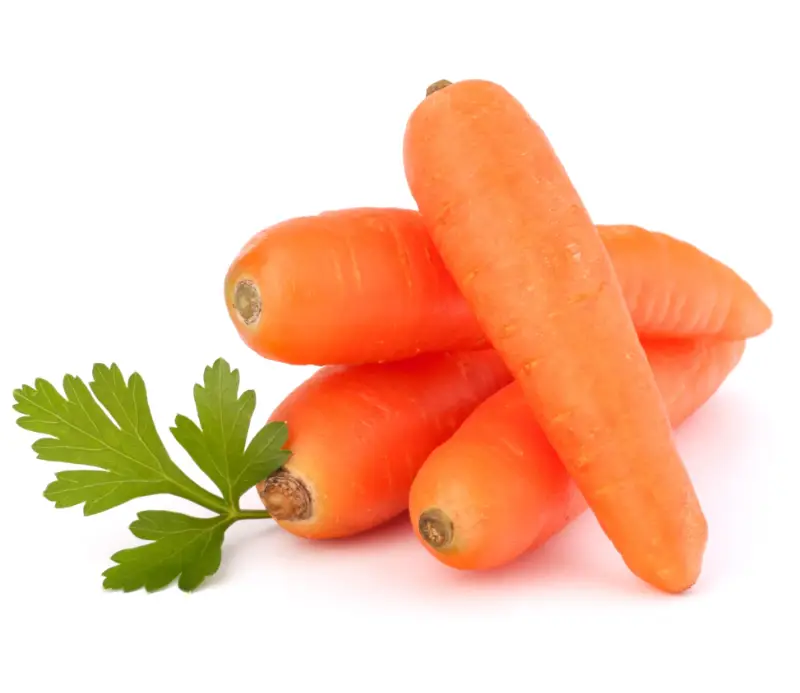 Ooty carrot