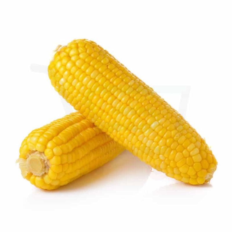 Corn cob