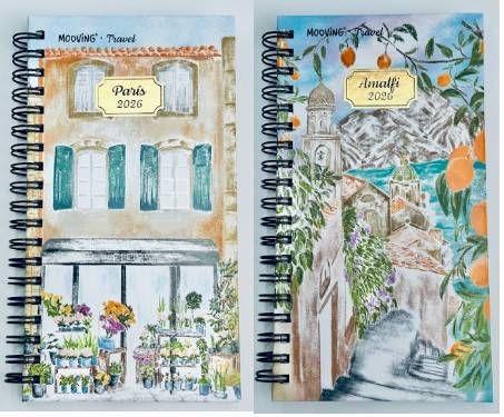 AG.MOOVING POCKET ESP TRAVEL 9105 S