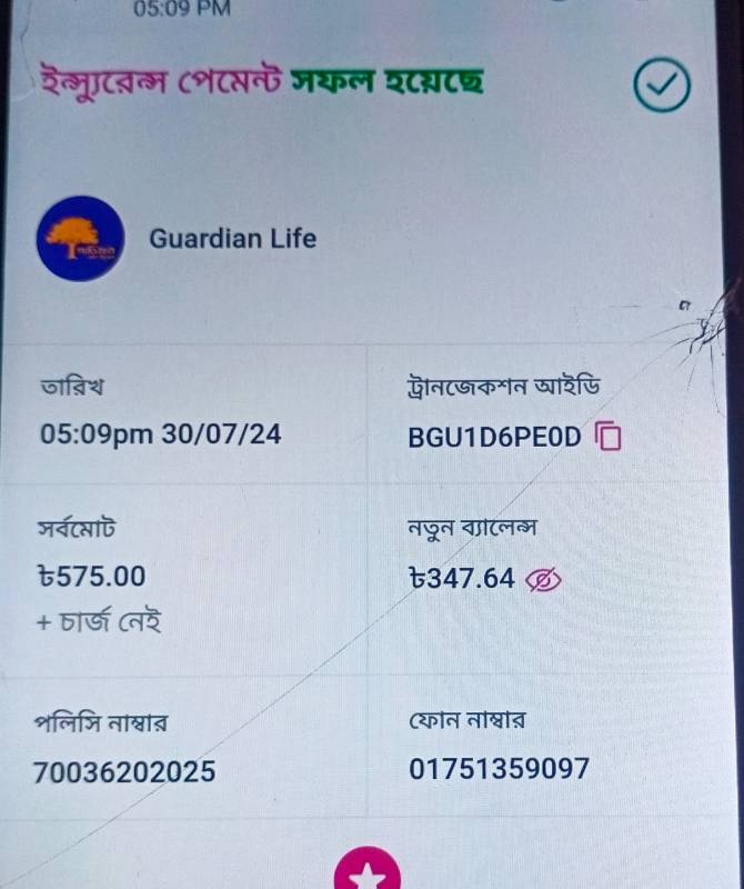 70036202025