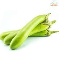 വഴുതന