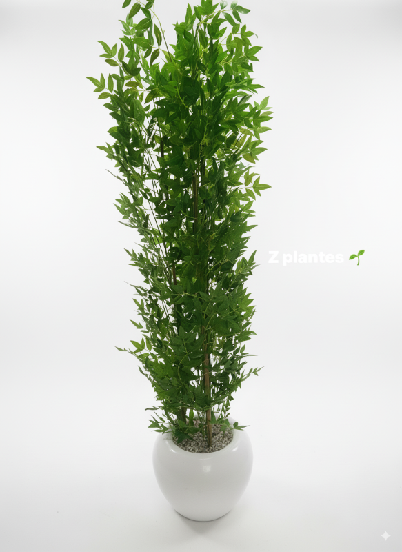 BAMBO mini PLANTE