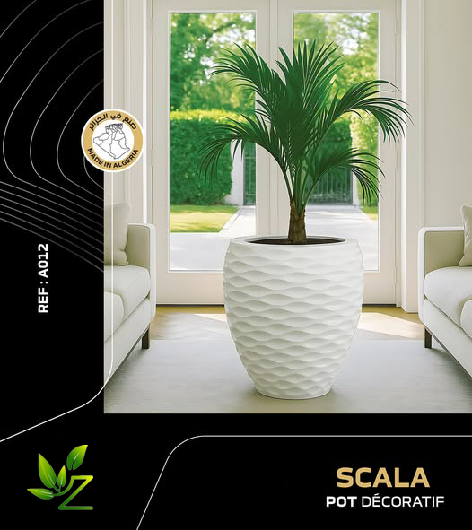 SCALA 012