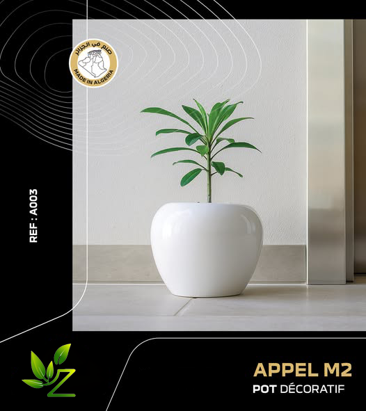 APPEL M2 003