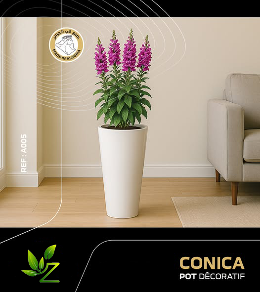 CONICA 005