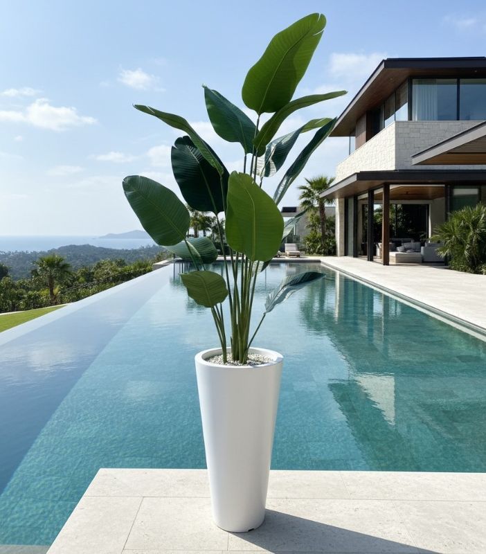 BANANIE GRAND FORMAT 75-49