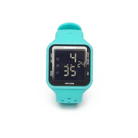 WS MONTANA WATCH (910010465)