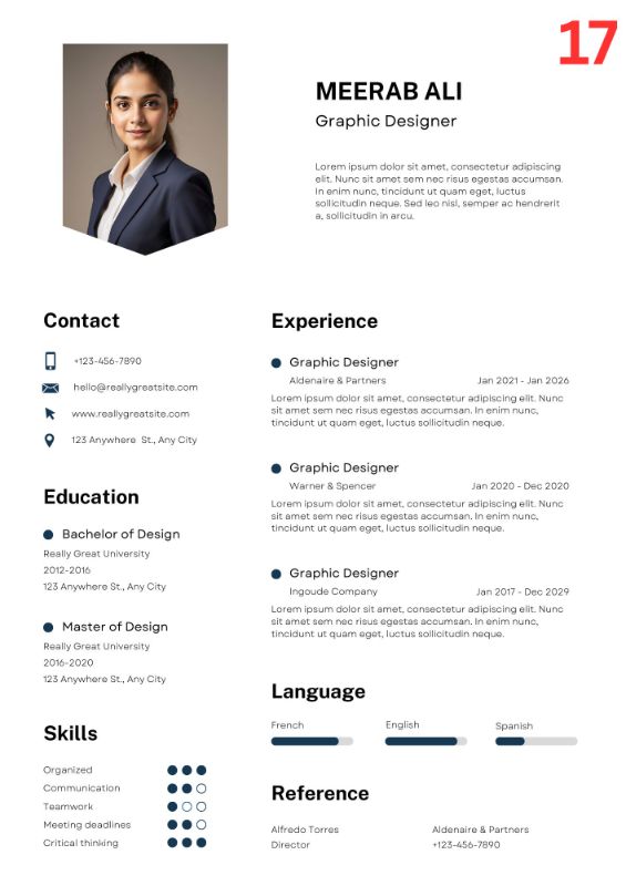 Elegant Infographic CV / Resume
