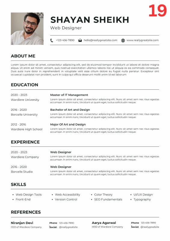 Professional ATS CV / Resume