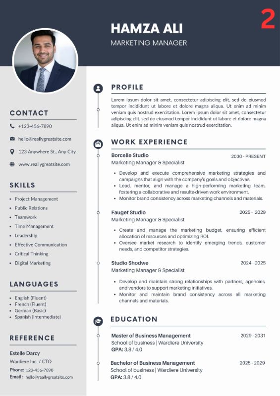 Professional Minimal CV / Resume