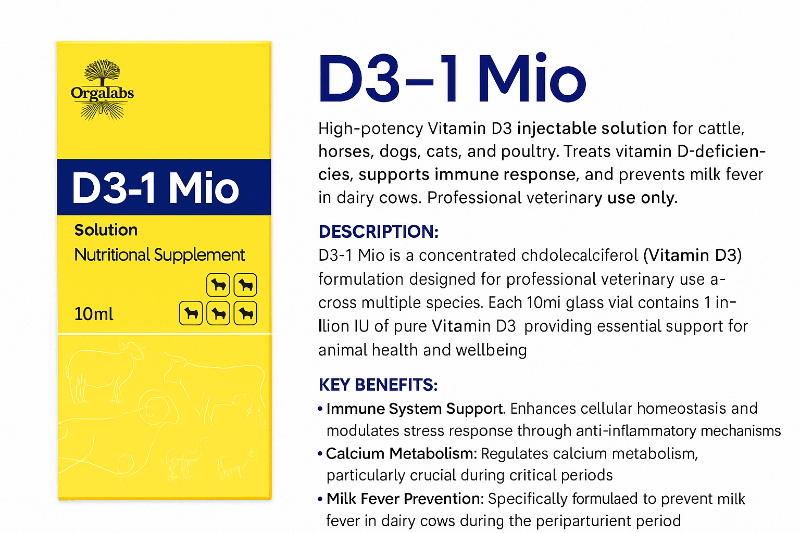 D3-1 Mio Vitamin D3