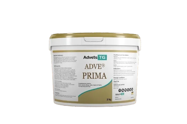 Adve Prima